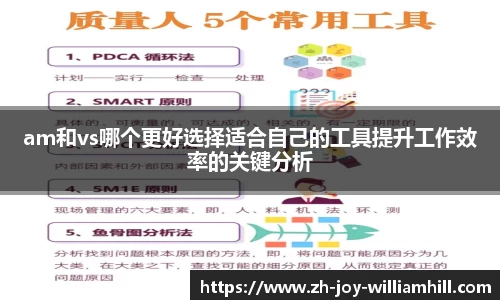 am和vs哪个更好选择适合自己的工具提升工作效率的关键分析
